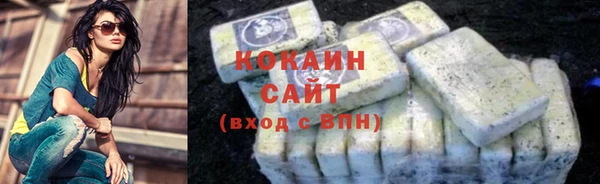 гашик Богданович