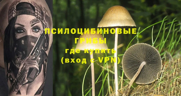 твердый Бородино