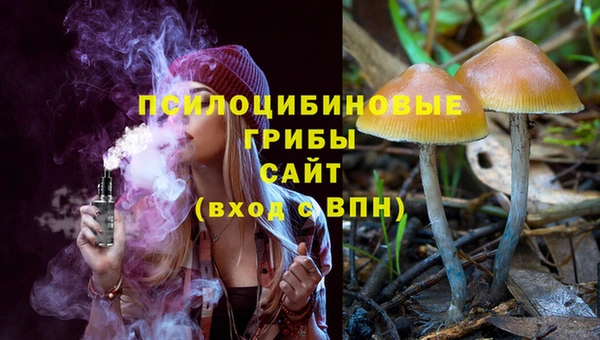 гашик Богданович