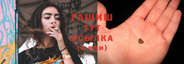 твердый Бородино