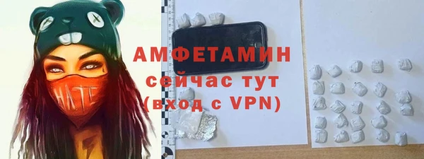 твердый Бородино