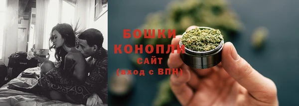 МДПВ Богородск