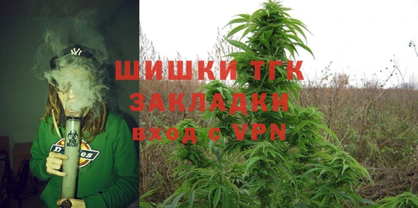 МДПВ Богородск