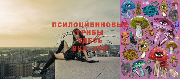 гашик Богданович