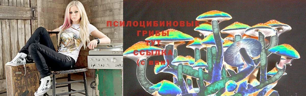MDMA Premium VHQ Бронницы