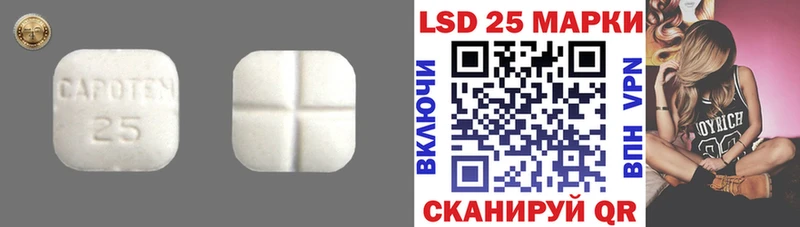 блэк спрут сайт  Кингисепп  LSD-25 экстази ecstasy 